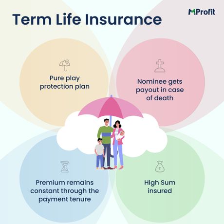 Insurance Analyser Series Episode 6 Term Life Insurance MProfit